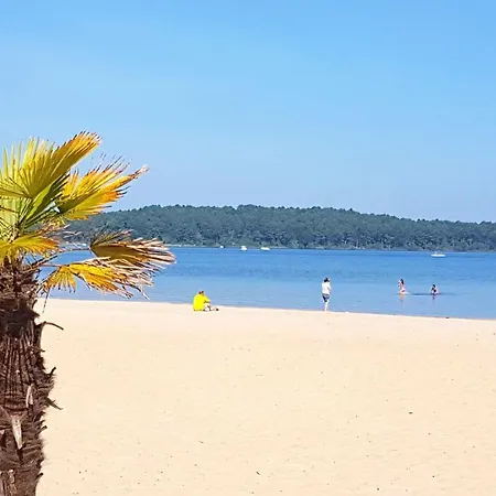 Сasa de vacaciones Confortable A + Piscine