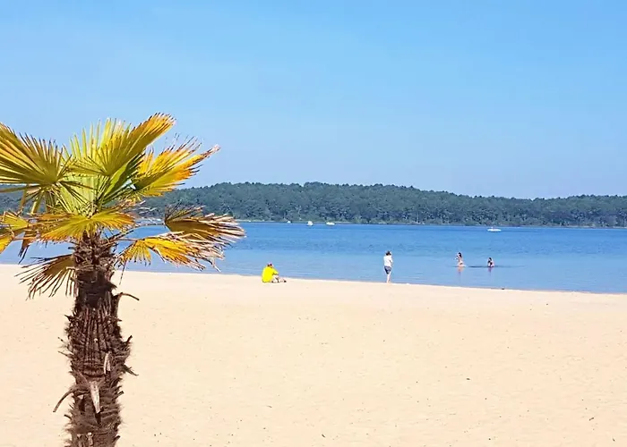Hébergement de vacances Confortable à + Piscine